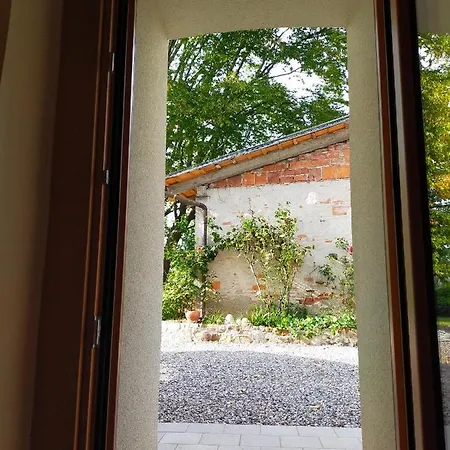 Le Dell'albero Bianco Con Uso Cucina