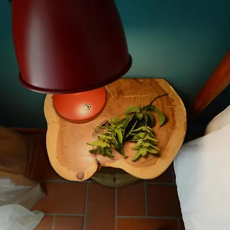 Le Dell'albero Bianco Con Uso Cucina ゲストハウス 3*