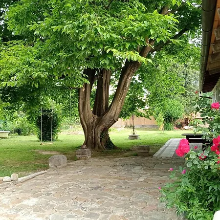 Le Dell'albero Bianco Con Uso Cucina Casa de hóspedes 3*